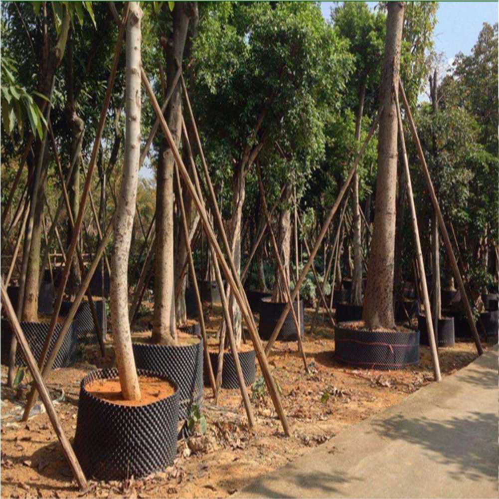 재배용 컨테이너 정원 나무 분재 이식 도구 빠른 묘목  - Garden Tools 리뷰 및 가격