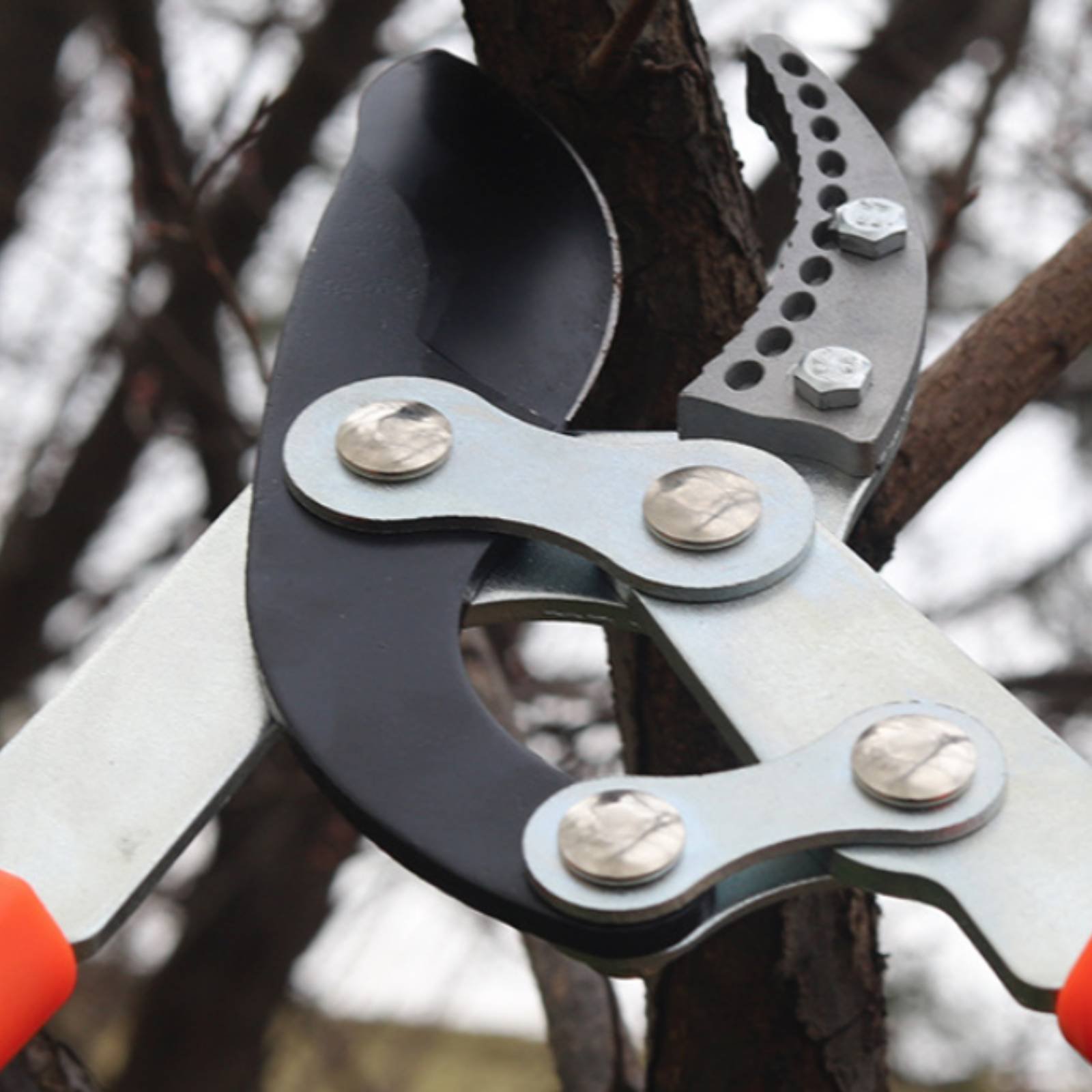 텔레스코픽 가지치기 가위 날카로운 칼날 튼튼한 트리 프 - Garden Tools 리뷰 및 가격